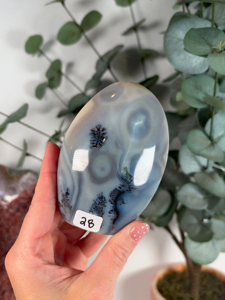 Orca Agate Free Form - you pick