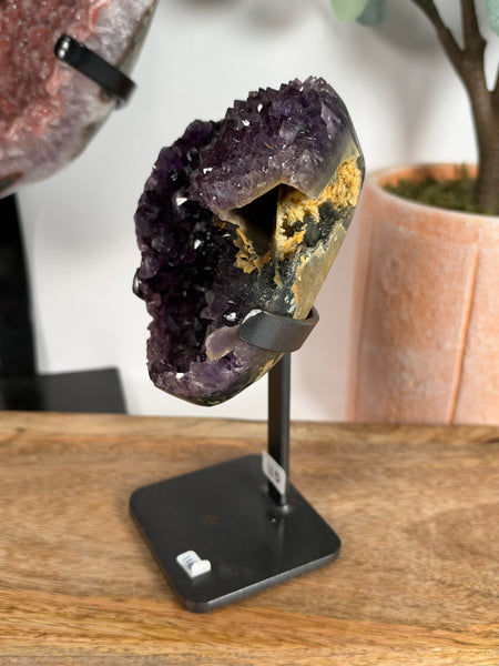 Uruguayan Amethyst w Stand - 110