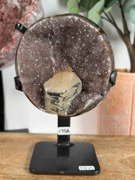 Uruguayan Amethyst w Stand - 175A
