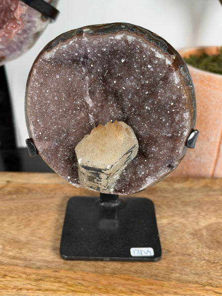 Uruguayan Amethyst w Stand - 175A
