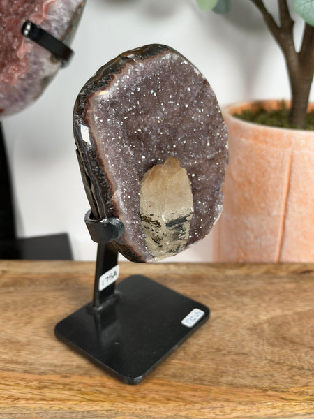 Uruguayan Amethyst w Stand - 175A