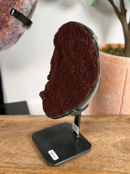 Uruguayan Amethyst w Stand - 130C