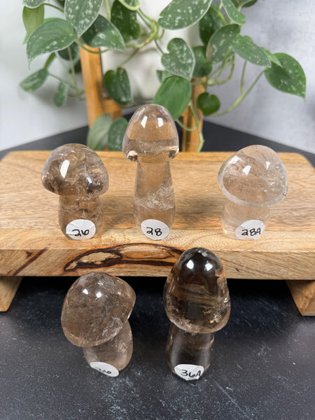 Smoky Quartz Mushrooms - you pick