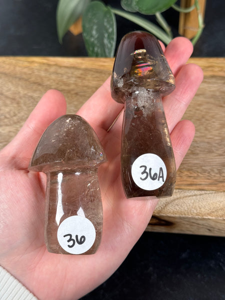 Smoky Quartz Mushrooms - you pick