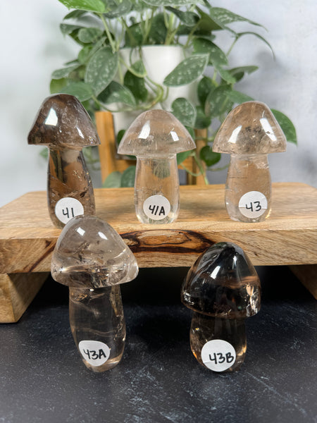 Smoky Quartz Mushrooms - you pick