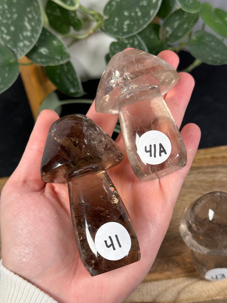 Smoky Quartz Mushrooms - you pick