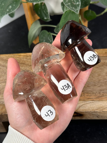 Smoky Quartz Mushrooms - you pick