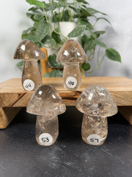 Smoky Quartz Mushrooms - you pick