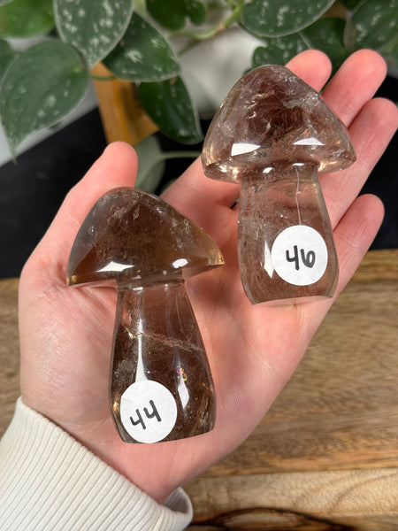 Smoky Quartz Mushrooms - you pick