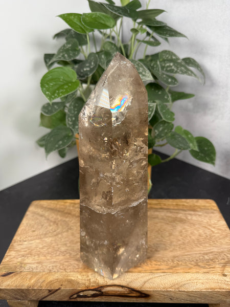 Smoky Quartz Tower - 499