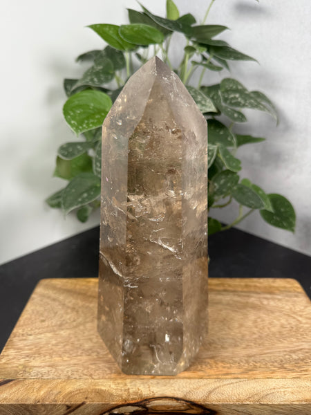 Smoky Quartz Tower - 499