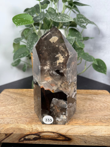 Smoky Quartz w Inclusions - 333