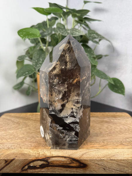 Smoky Quartz w Inclusions - 333