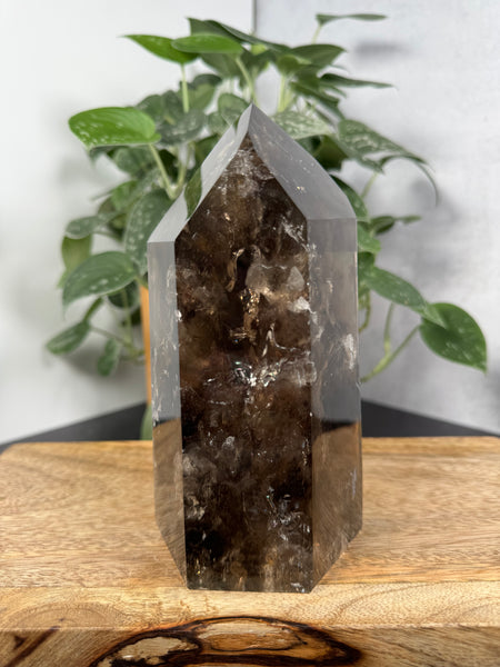 Smoky Quartz w Inclusions - 333