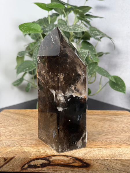 Smoky Quartz w Inclusions - 333