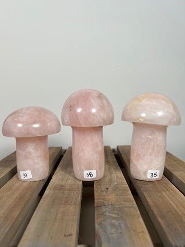 Rose Quartz Mushrooms - you pick